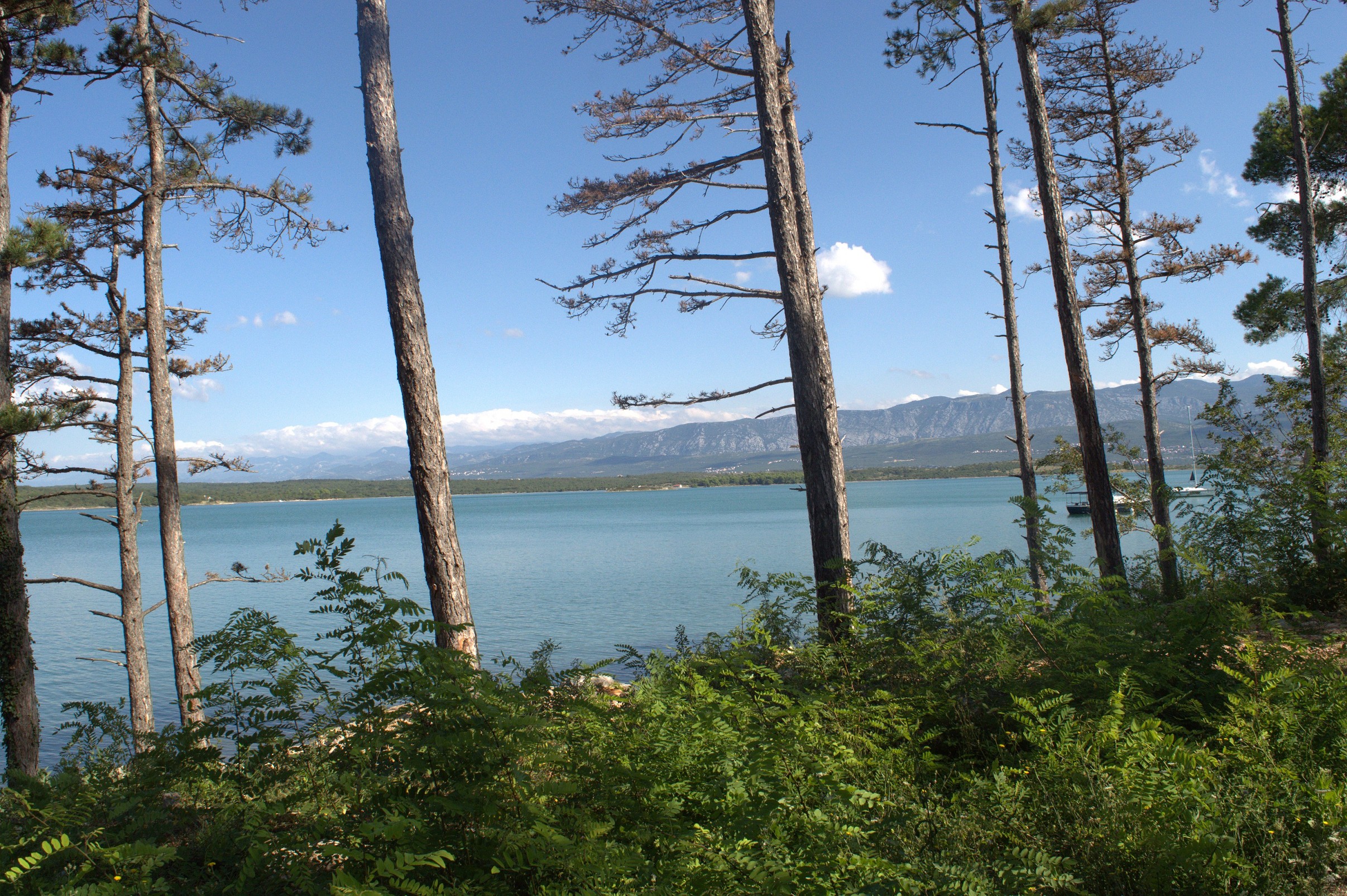 K k 032   dsc 1729   6034 x 4012